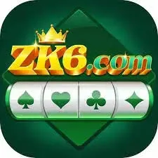 ZK6 - Aksi Seru dalam Permainan TPS